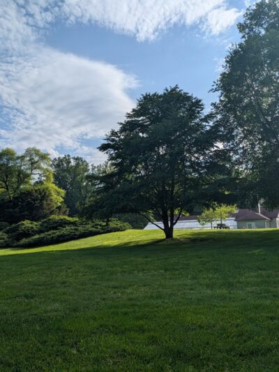 Hart’s Brook Park and Preserve - Hartsdale, NY
