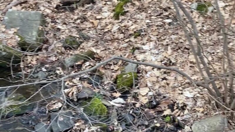 Hart’s Brook Park and Preserve - Hartsdale, NY