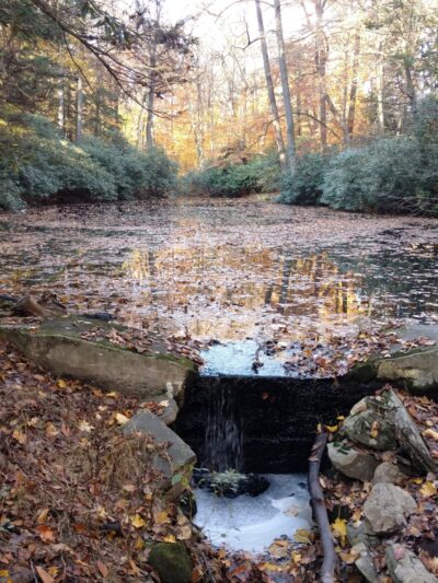 Hart’s Brook Park and Preserve - Hartsdale, NY