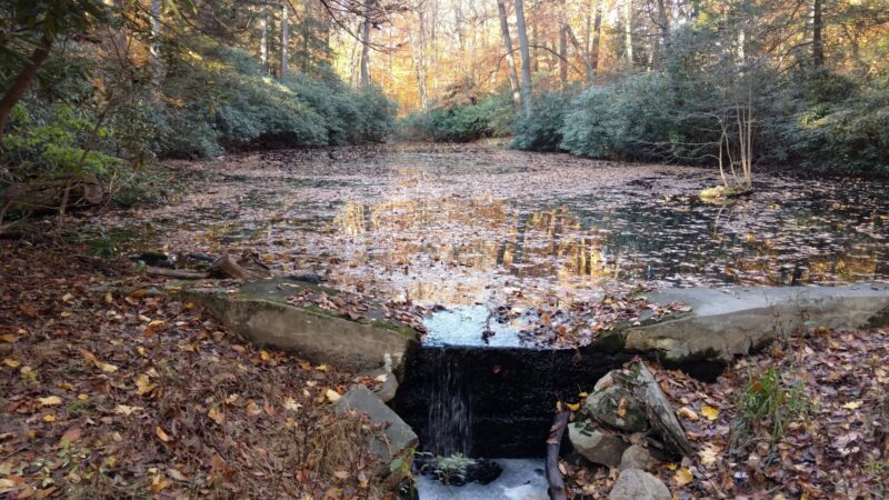 Hart’s Brook Park and Preserve - Hartsdale, NY