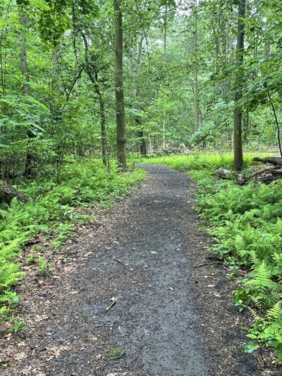 Hart’s Brook Park and Preserve - Hartsdale, NY