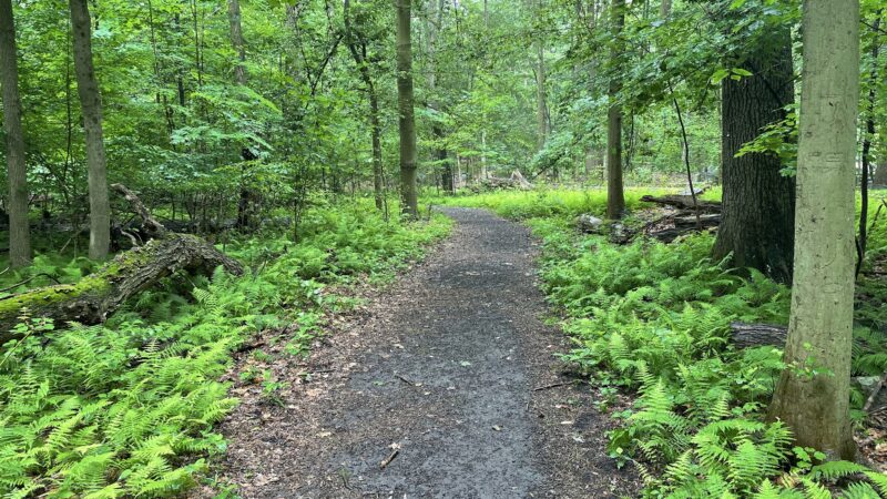 Hart’s Brook Park and Preserve - Hartsdale, NY