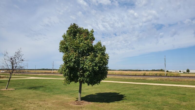 Harvard Dog Park - Harvard, IL