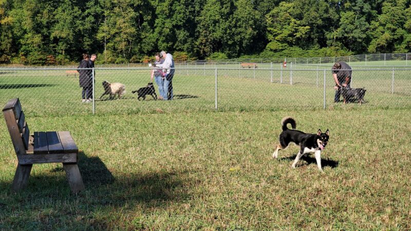 Barry County Veterans Memorial Dog Park - Hastings, MI