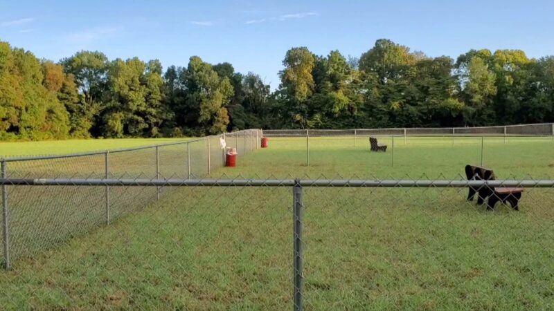 Barry County Veterans Memorial Dog Park - Hastings, MI