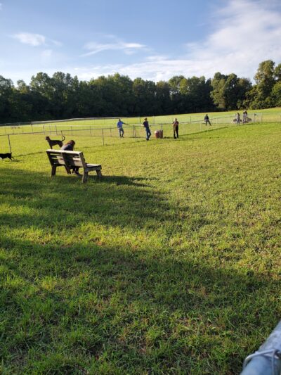 Barry County Veterans Memorial Dog Park - Hastings, MI
