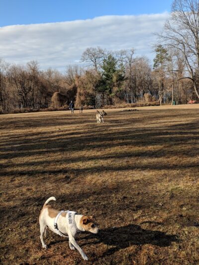 Draper Park - Hastings-On-Hudson, NY