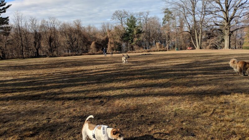 Draper Park - Hastings-On-Hudson, NY
