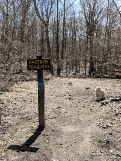 Hillside Park - Hastings-On-Hudson, NY