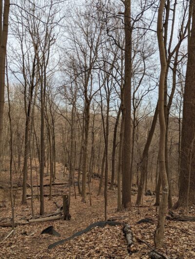 Hillside Park - Hastings-On-Hudson, NY