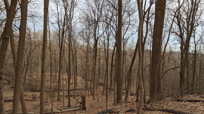 Hillside Park - Hastings-On-Hudson, NY