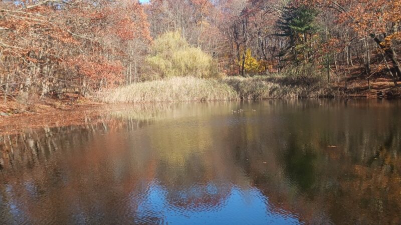 Hillside Park - Hastings-On-Hudson, NY