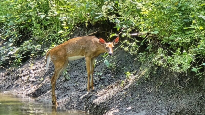 South County Trailway - Hastings-On-Hudson, NY