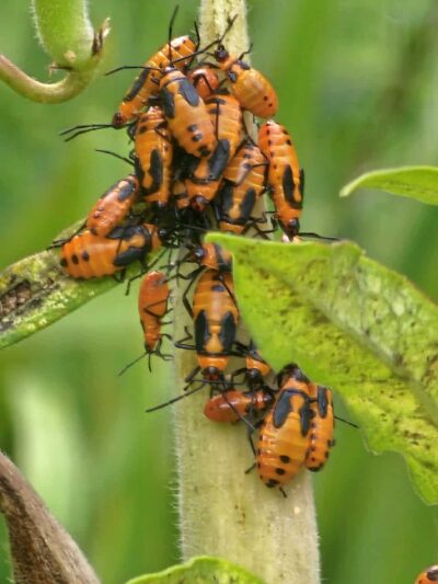 Riverview Park - Hastings-On-Hudson, NY