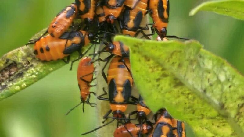 Riverview Park - Hastings-On-Hudson, NY