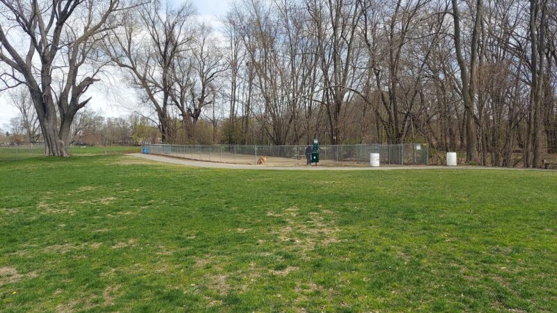 Riverside Dog Park - Haverhill, MA