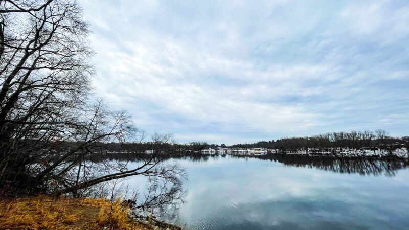Riverside Dog Park - Haverhill, MA