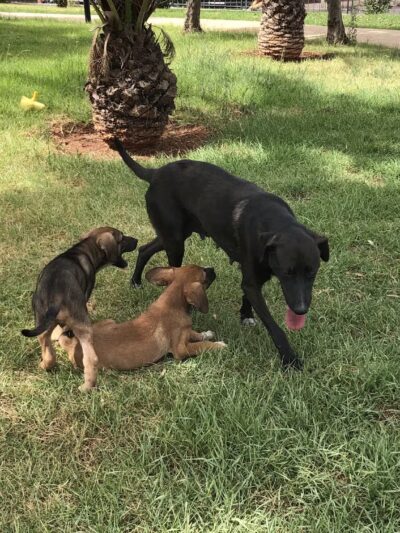 Hawkins Park - Hawkins, TX