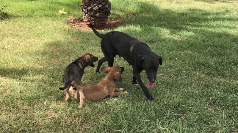 Hawkins Park - Hawkins, TX