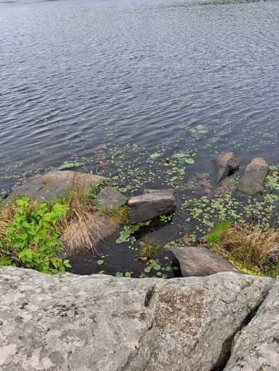 Cobey Pond Trailhead - Hawley, PA