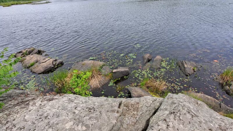 Cobey Pond Trailhead - Hawley, PA