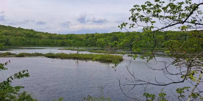 Cobey Pond Trailhead - Hawley, PA