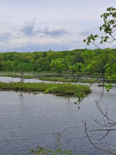 Cobey Pond Trailhead - Hawley, PA