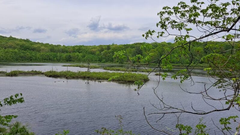 Cobey Pond Trailhead - Hawley, PA