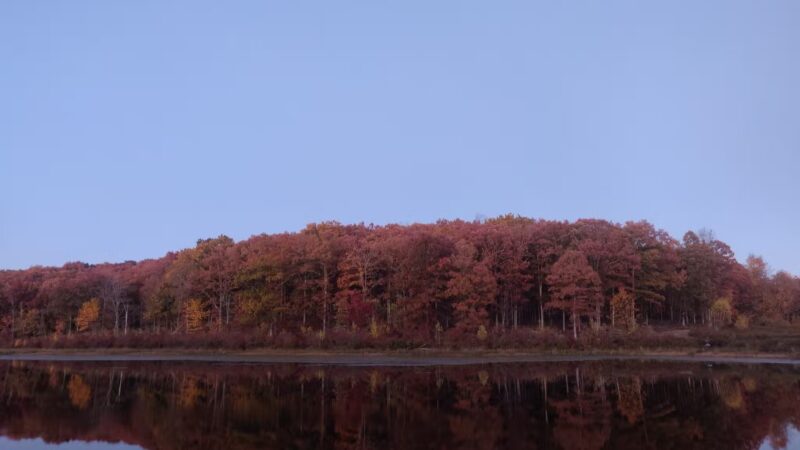 Cobey Pond Trailhead - Hawley, PA