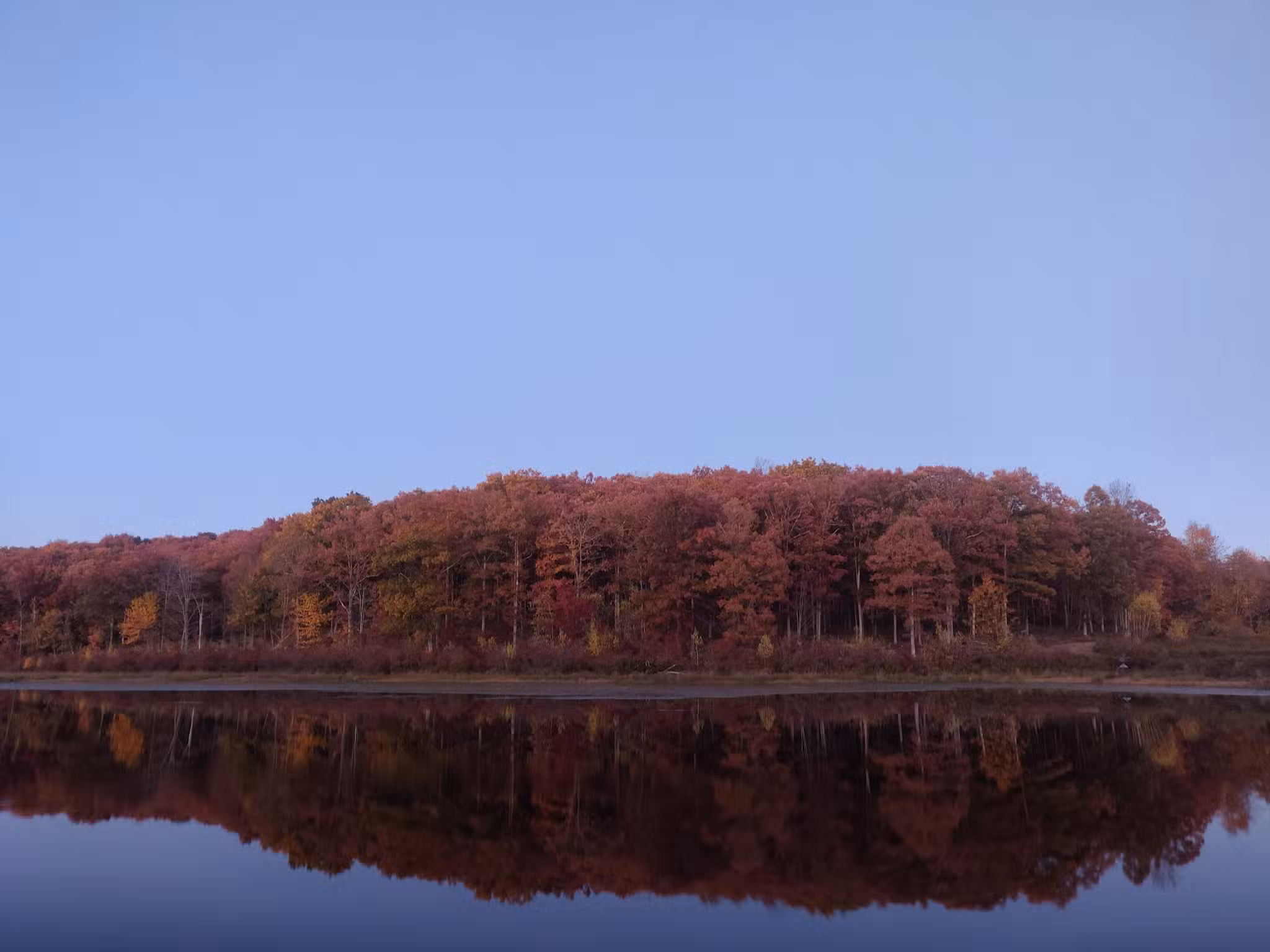 Cobey Pond Trailhead - Hawley, PA
