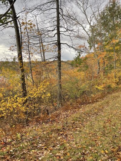 Cobey Pond Trailhead - Hawley, PA