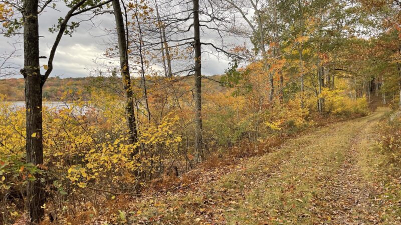 Cobey Pond Trailhead - Hawley, PA