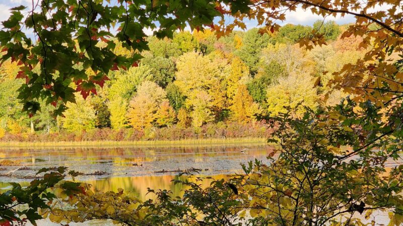 Cobey Pond Trailhead - Hawley, PA