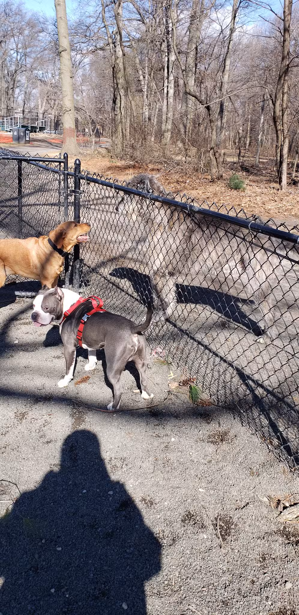 Goffle Brook Dog Park - Hawthorne, NJ