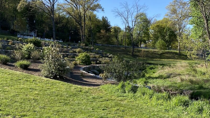 Goffle Brook Park Pathway, West Of The Brook - Hawthorne, NJ