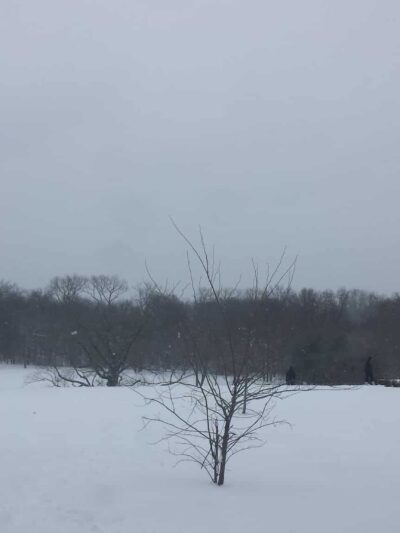 Goffle Brook Park Pathway, West Of The Brook - Hawthorne, NJ