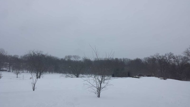 Goffle Brook Park Pathway, West Of The Brook - Hawthorne, NJ