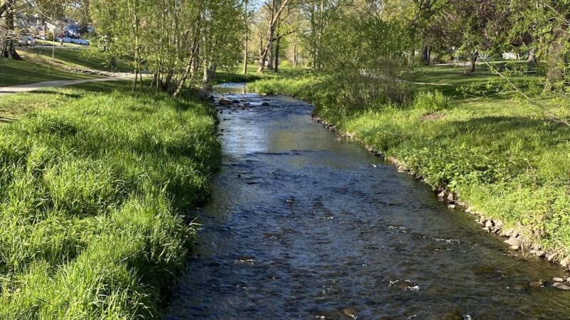 Goffle Brook Park Pathway, West Of The Brook - Hawthorne, NJ