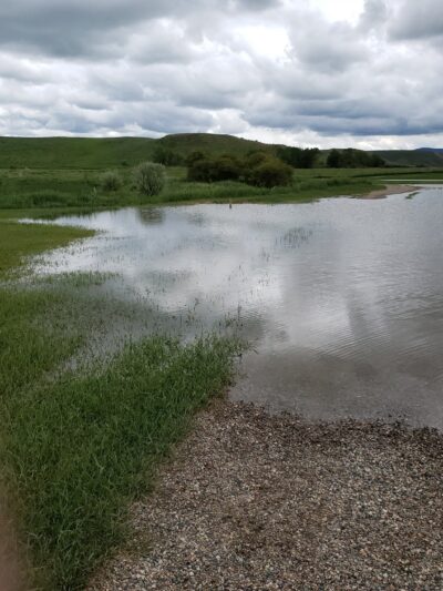 Dry Creek Park - Hayden, CO