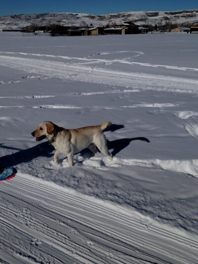 Dry Creek Park - Hayden, CO