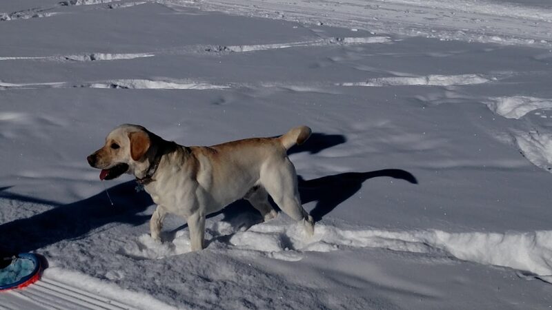 Dry Creek Park - Hayden, CO