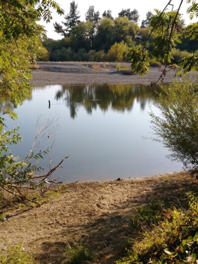 Badger Park - Healdsburg, CA