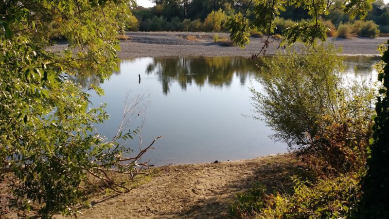 Badger Park - Healdsburg, CA