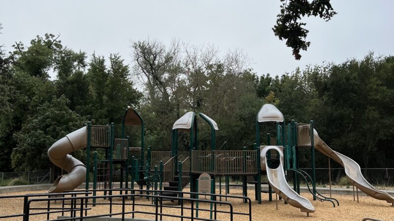 Badger Park - Healdsburg, CA