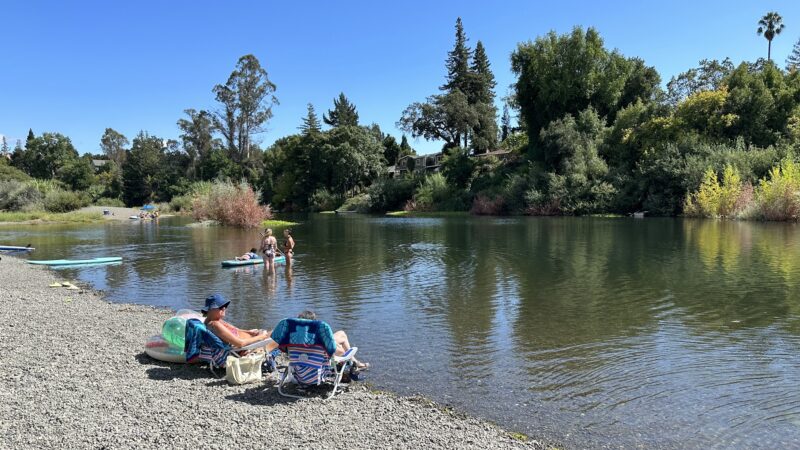 Badger Park - Healdsburg, CA