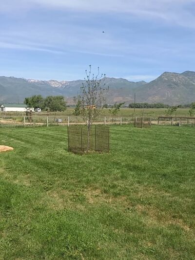 Heber City Dog Park - Heber City, UT