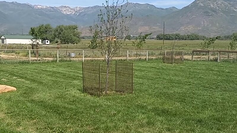Heber City Dog Park - Heber City, UT