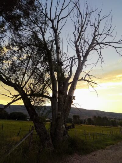 Heber City Dog Park - Heber City, UT