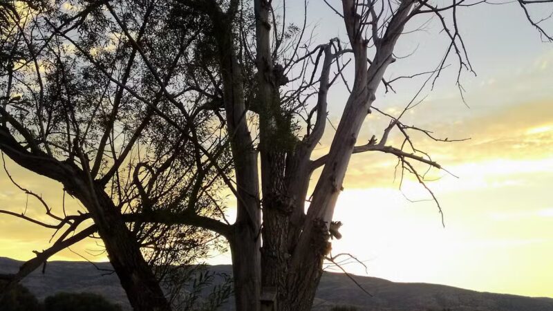 Heber City Dog Park - Heber City, UT