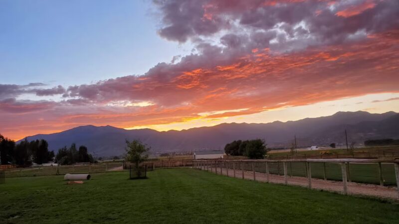 Heber City Dog Park - Heber City, UT